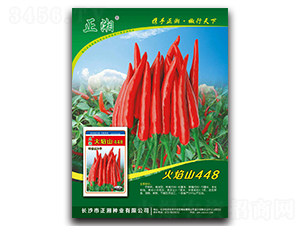 ����ɽ448-���콷�N��-����N�I(y��)