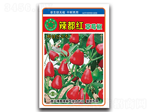 �����t��ݮ��-���콷�N��-����N�I(y��)