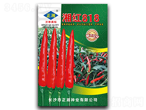 ��t818-���콷�N��-����N�I(y��)