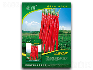 ����t��-�����N��-����N�I(y��)