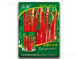 ����ʮ��̖(h��o)-�����N��-����N�I(y��)