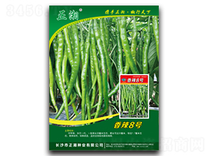 ��������8̖(h��o)-�����N��-����N�I(y��)