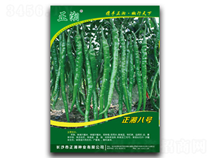 �����̖(h��o)-�����N��-����N�I(y��)