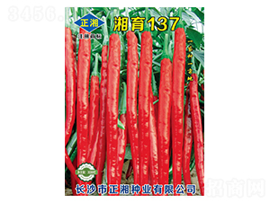 ����137-�����N��-����N�I(y��)