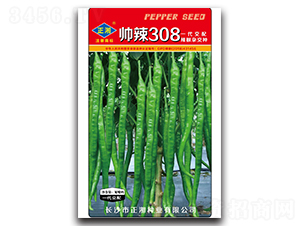 ����308���ࣩ-�����N��-����N�I(y��)