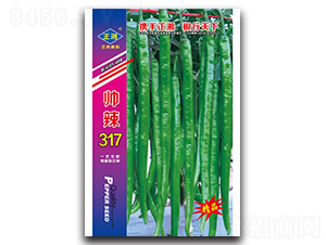 ����317���ࣩ-�����N��-����N�I(y��)