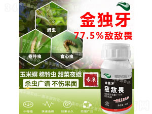 77.5%����η����-����-�W�SԴ