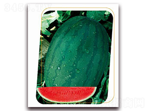 �s��-���ϷN��-����(y��u)�r(n��ng)�I(y��)