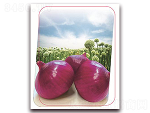 ��ϼ-���[�N��-����(y��u)�r(n��ng)�I(y��)