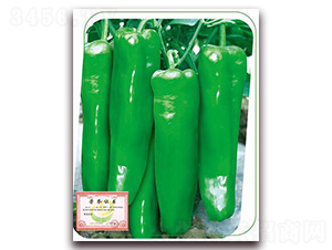 ��(gu��)��-�����N��-����(y��u)�r(n��ng)�I(y��)