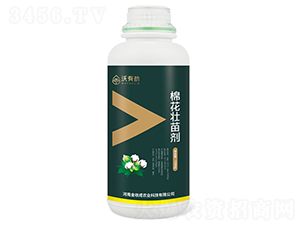 �޻����焩-���Є�-���ճ�