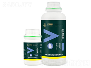 �Ҹ��Ǵ��𣨽M�ϣ�-���Є�-���ճ�