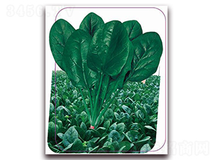 ����-���˷N��-����(y��u)�r(n��ng)�I(y��)