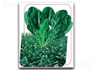 ������̖-���˷N��-����(y��u)�r(n��ng)�I(y��)