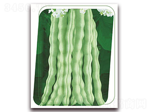 ���|ʮ̖(h��o)-�����N��-����(y��u)�r(n��ng)�I(y��)