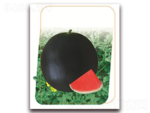 ���~ʮ��-���ϷN��-����(y��u)�r(n��ng)�I(y��)