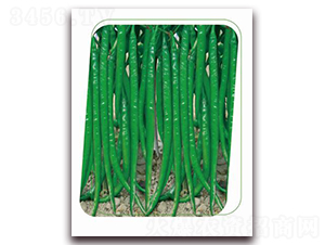 �������-�����N��-����(y��u)�r(n��ng)�I(y��)