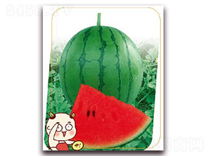 �M��-���ϷN��-����(y��u)�r(n��ng)�I(y��)