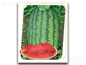 ��ʢһ̖(h��o)-���ϷN��-����(y��u)�r(n��ng)�I(y��)