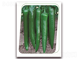 ���F119-�����N��-����(y��u)�r(n��ng)�I(y��)