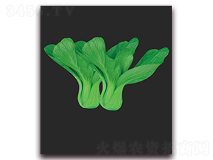 ����26-�~�˷N��-����(y��u)�r(n��ng)�I(y��)