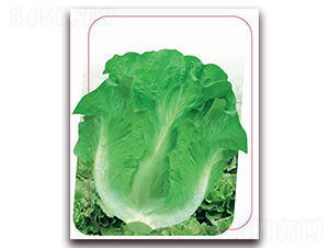 �������-�~�˷N��-����(y��u)�r(n��ng)�I(y��)