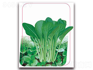 �G����-�~�˷N��-����(y��u)�r(n��ng)�I(y��)