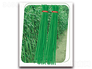 ����9̖(h��o)-�����N��-����(y��u)�r(n��ng)�I(y��)