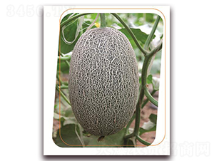 �K���_-��ϷN��-����(y��u)�r(n��ng)�I(y��)