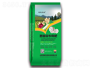 �[���⌣�÷�-�������r(n��ng)-��������