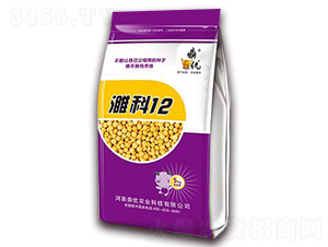 塿�12-�󶹷N��-����(y��u)�r(n��ng)�I(y��)