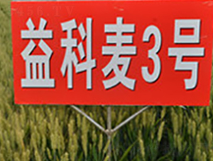 �����3̖(h��o)-С���N��-�A��