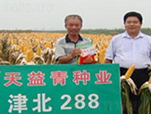 ��288-���׷N��-�A��