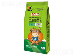 ΢�������-��ţ��-܎�@ţ