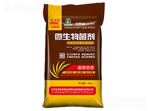 10�|΢�������-�G����-�����_