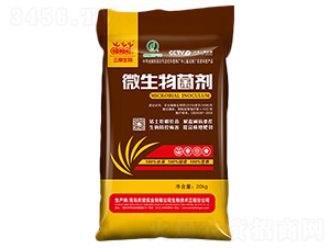 10�|΢�������-�����_