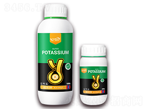 �����-ӯ���r(n��ng)�I(y��)