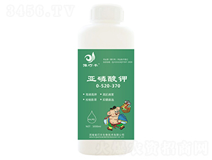 �������-ԥ���S