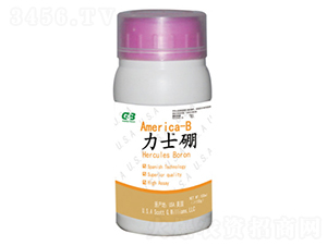 ľ�|�Ǵ����w��-��ʿ��-���A��