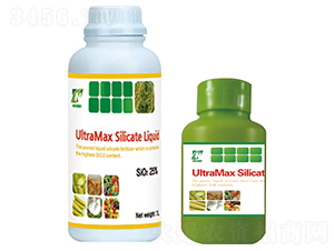 �n���茚-���A��