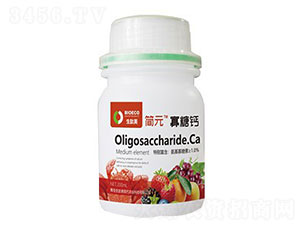 �����}-��Ԫ��ƿ��-������