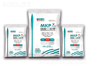 ��������-�A�S����