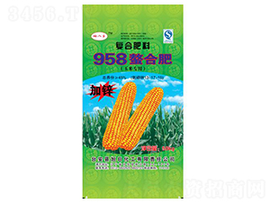 ���׌���958���Ϸ�13-17-15-푰��l(xi��ng)-���ջ���