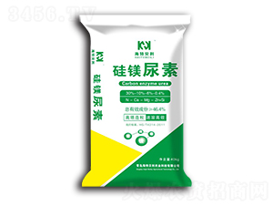 ���V����-����ؐ��