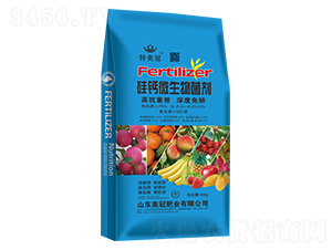 ���}΢�������-�\����-���ڷʘI(y��)