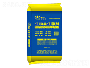 ������������-���ؠ�