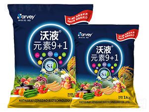 ��ҺԪ��9+1-�����f