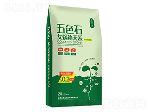 Ů�z�a��ϵ΢�������-��ɫʯ