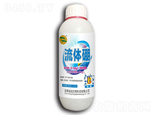 500ml���w��-�\��