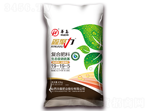 �ͺϷ���19-19-5-�ξ���-�A�ηʘI(y��)